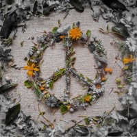 Peace Sine - Single - TabInStereo