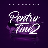 pntru tine 2 (feat. idk & pivo) - Single - Og Andreas