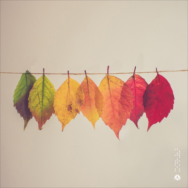 Seasons - EP