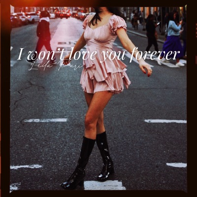 I Won't Love You Forever - Single