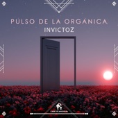 Pulso De La Organica artwork