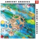 Ambient Grooves