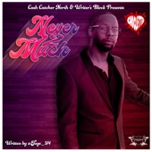 Never 2 Much (feat. Tage) artwork