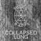 Collapsed Lung - Anomaly in Effigy lyrics