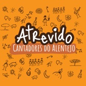 Alentejo os Teus Trigais (feat. Pedro Mestre) artwork