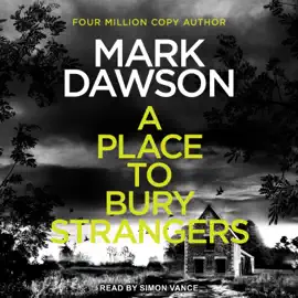 A Place to Bury Strangers (Atticus Priest)