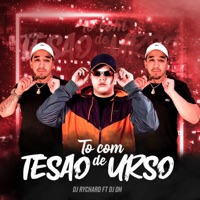 To Com Tesão de Urso (feat. DJ DH) - Single - DJRychard