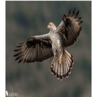 La luz venciendo la oscuridad (feat. Realbigfood Beats) - Single - hazor en los tiempos