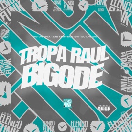 Tropa Raul Bigode DJ Lpz 011, MC VN Cria & MC Matheus 011