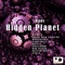 Hidden Planet (Carles DJ & Zayko DJ Remix) - Raos lyrics