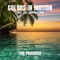 The Paradise (feat. Bill Joseph Flynn) - Colors In Motion lyrics