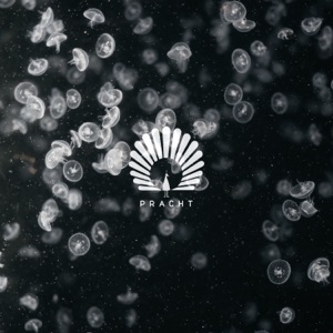 Lotus (feat. Bailey) - Single
