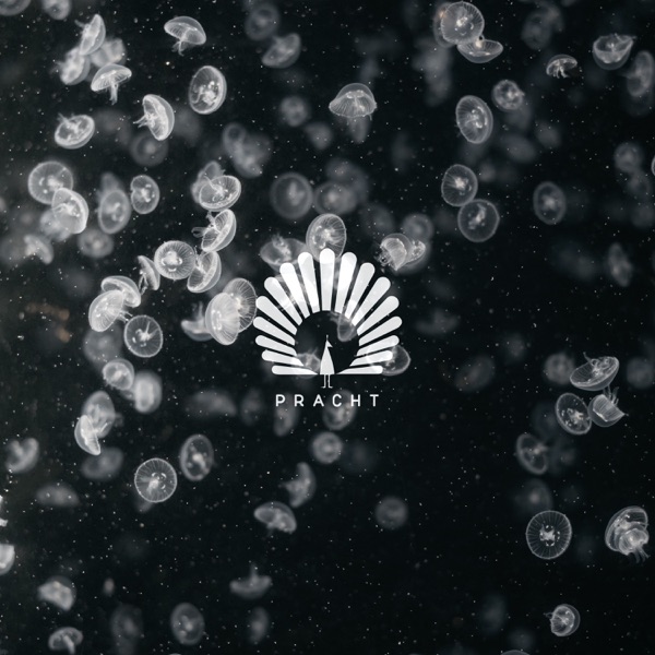Lotus (feat. Bailey) - Single