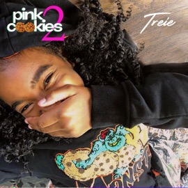 That's the Way Love Goes (feat. 450Sixx, Tone Bone, Sic Mic & Dx) Treie