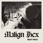 Meat Wave - 10K