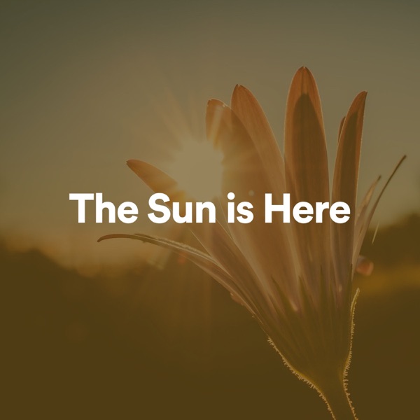 The Sun Is Here