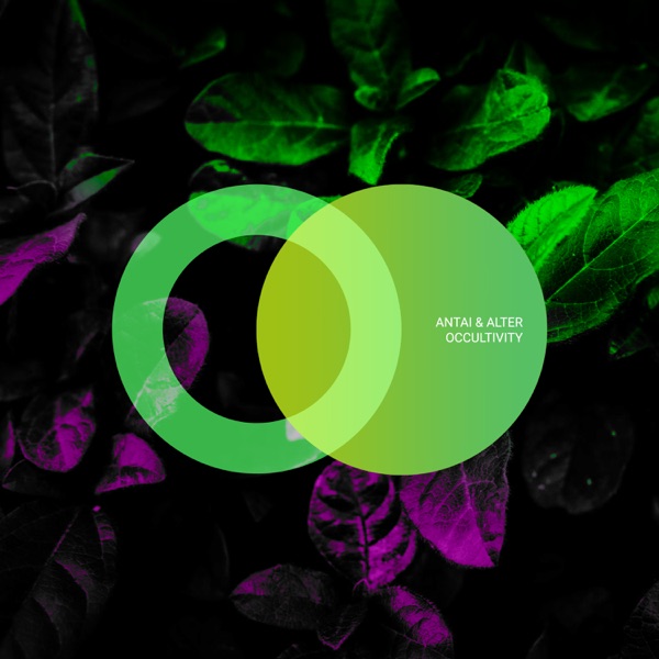 Occultivity - Single