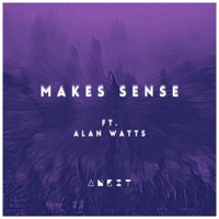 Makes Sense (feat. Alan Watts) - Single - TheAnkitNagar