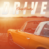 Drive - Cindy Bradley