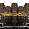Wanna Holla (feat. Racade) - Single