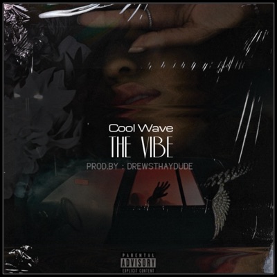 The Vibe - Single