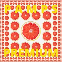 PAMPS PREMIUM (VIENS AU LOCAL) (feat. Matty B & MC Page) - Single - LGM.INC