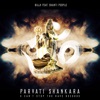 Parvati Shankara (feat. Shanti People)