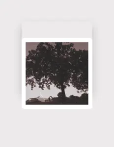 Escucha a Soon Ago, mira vídeos musicales, lee la biografía, consulta fechas de giras y mucho más.