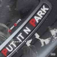 Put It In Park - Single - Simba9Lives