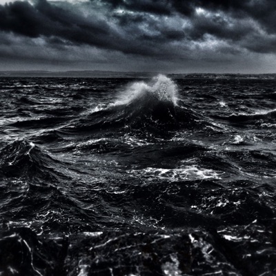 Steppas (feat. Tcb Eli, Greezy, Kashier & Reese Money) - Single