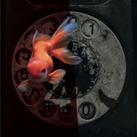 Do It Now (feat. Smoove) - Single - Whirlwind D