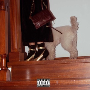 Perdonami se scappo - Single