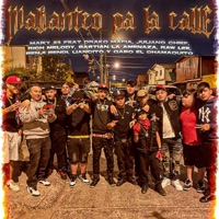 Malianteo Pa La Calle (feat. gabo el chamaquito, julianochieff, lian liancito, drako mafia, raw lee, bastian la amenaza, benji bendi & rich melody) - Single - Maiky 23