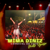 Carnaval ao Vivo Mato Grosso - Mima Diniz