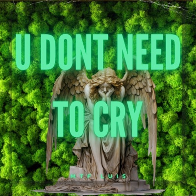 U Dont Need To Cry - Single