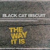 Black Cat Biscuit - What You Say