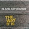 Dr Boogie - Black Cat Biscuit lyrics