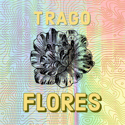 Trago Flores - Single