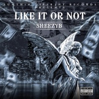 Like It Or Not - Single - Sheezyb