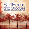 Soft House and Grooves (A Selection of Chilled House and Uptempo Beats) - Various Artists