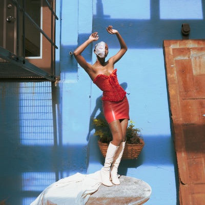 Water Waistline - Single