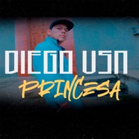 Princesa - Single - DIEGO VSN