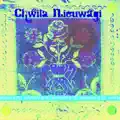Chwila Nieuwagi