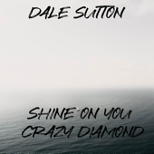 Shine on You Crazy Diamond (Acoustic) song art