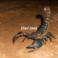 Smoke Show - Single - Sav' Joe