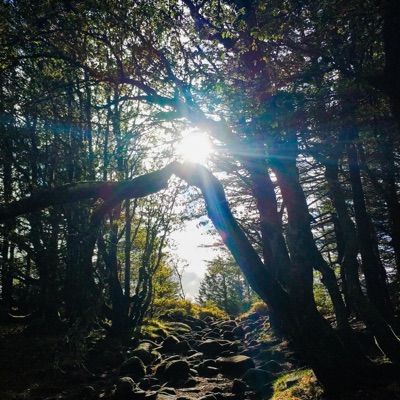 Suns and Moons (feat. LYHE) - Single