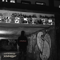 SCHWERKRAFT (feat. MJ SAROUKH) - Single - RIPTRUST6A6Y