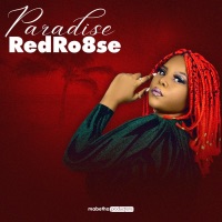 Paradise - Single - RedRo8se