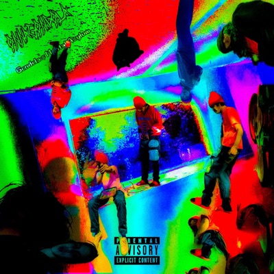 Gondola's Mental Asylum