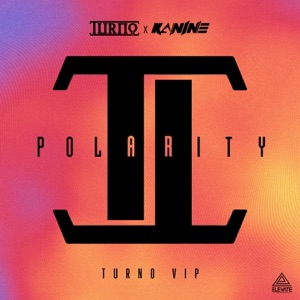 Polarity (VIP) [feat. Kanine] - Single